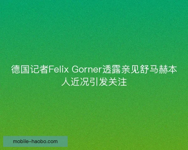 德国记者Felix Gorner透露亲见舒马赫本人近况引发关注